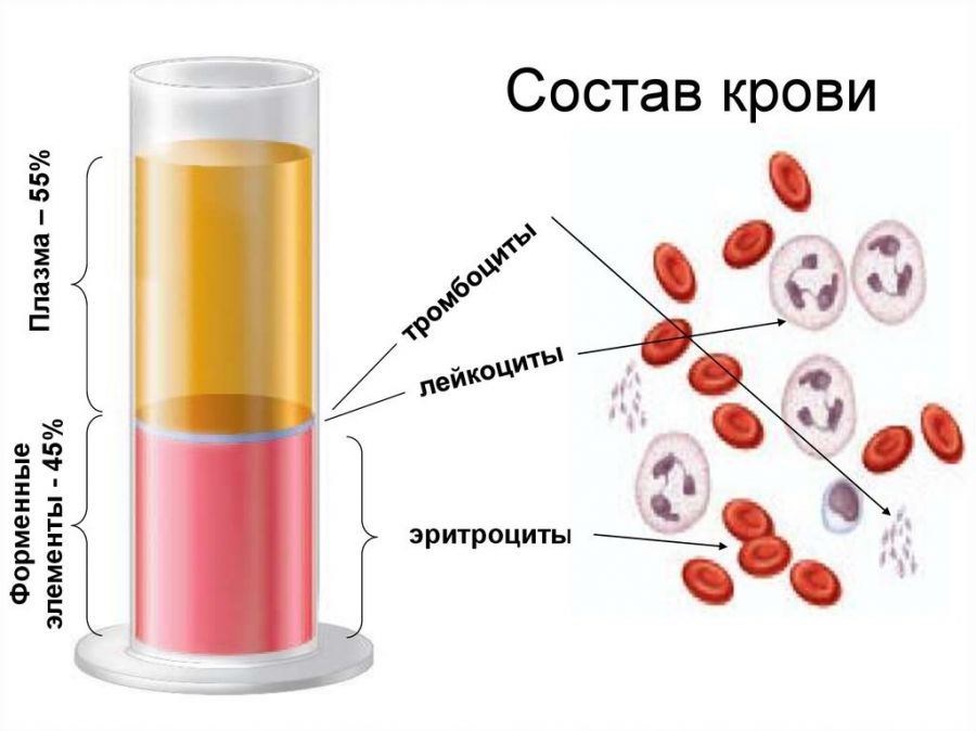 Картинки из чего состоят