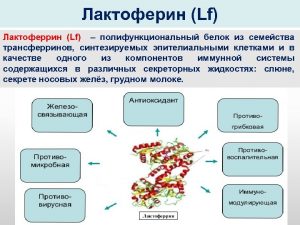 сыворотка молочная польза