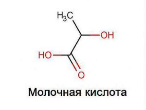 женьшень для спортсменов