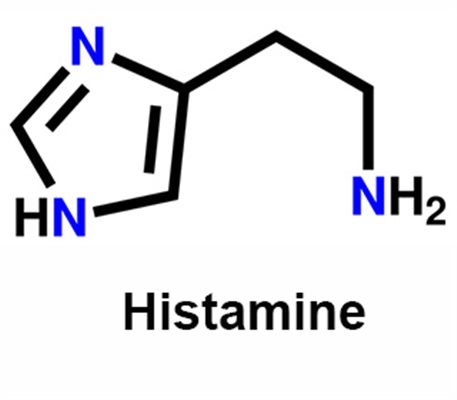 Гистамин это. Гистамин формула. Гистамин картинки. Гистамин строение. Гистамин структурная формула.